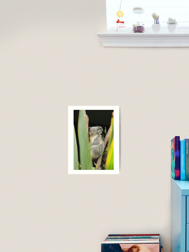 Thumbnail 2 of 3, Art Print, Koala 5 designed and sold by RREID84.