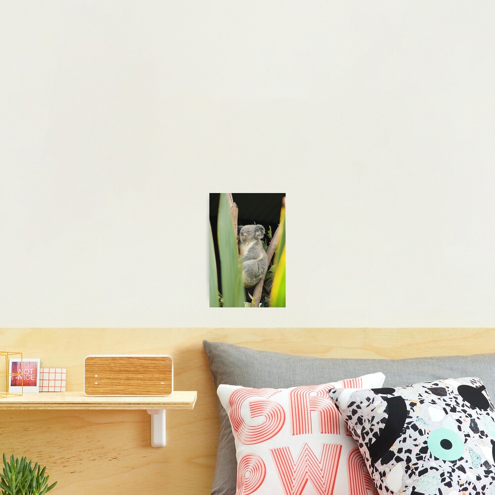 Item preview, Photographic Print designed and sold by RREID84.