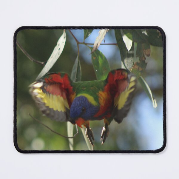 Item preview, Lorikeet Fly designed and sold by RREID84.