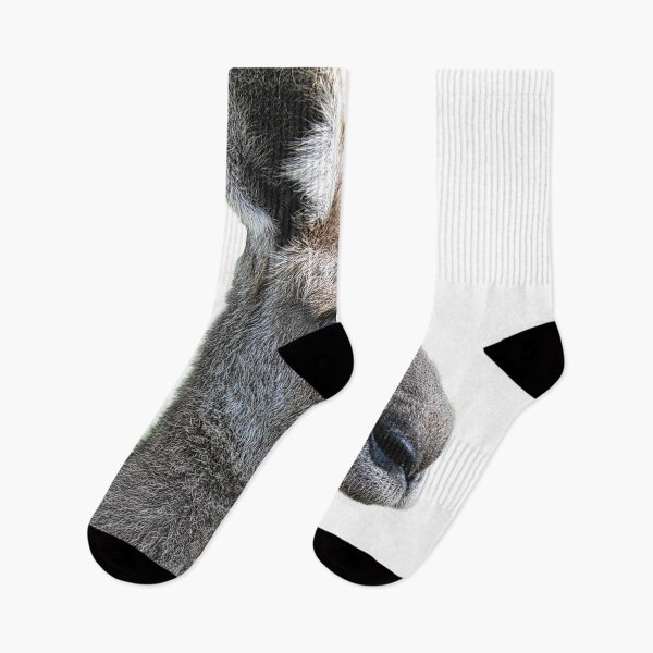 Item preview, Eastern Grey designed and sold by Kerry LeBoutillier.