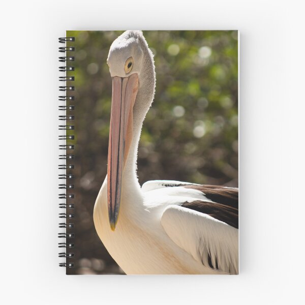 Item preview, Australian Pelican, Pelecanus conspicillatus designed and sold by Geoff Treagus.