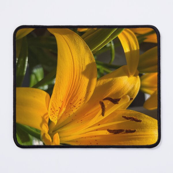 Item preview, Golden Flora designed and sold by diezelthegreat.