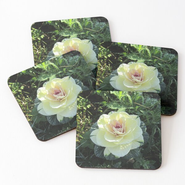 Item preview, Cabbage Rose designed and sold by Alexander Krishchyunas.