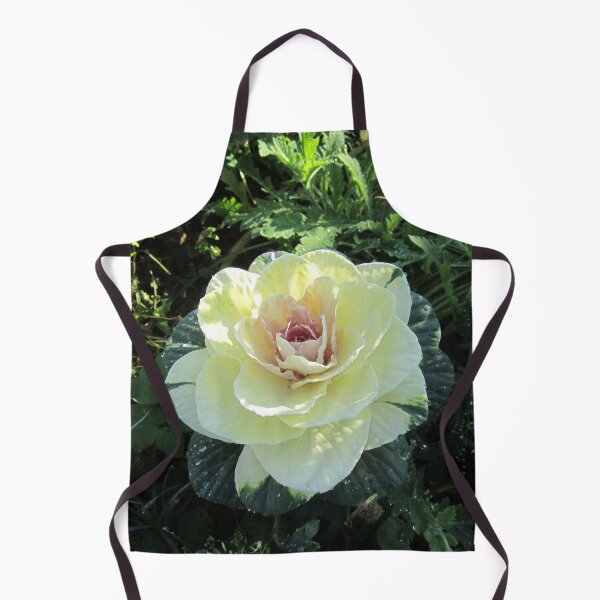 Item preview, Cabbage Rose designed and sold by Alexander Krishchyunas.