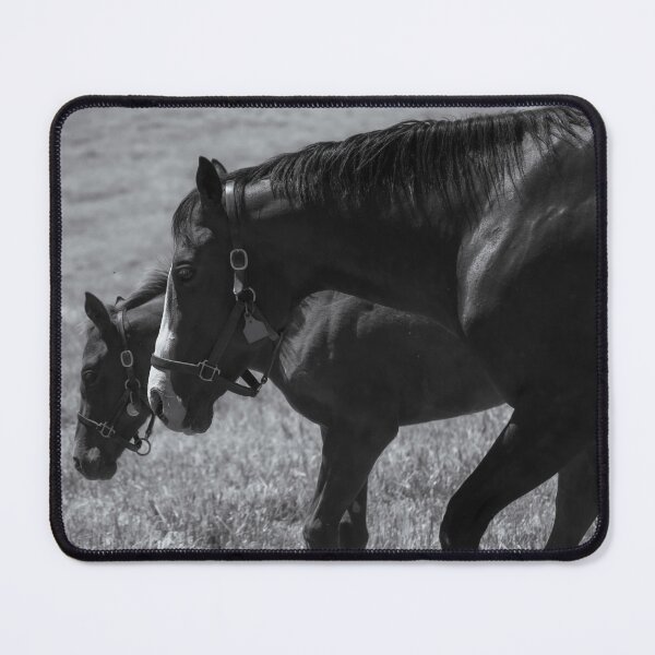 Item preview, Stride for Stride – Mare and Foal in Harmony designed and sold by MichaelPictures.