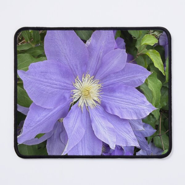 Item preview, Purple Flora designed and sold by diezelthegreat.