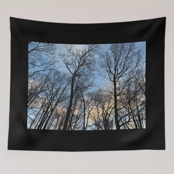 Item preview, Sunrise Forest designed and sold by diezelthegreat.