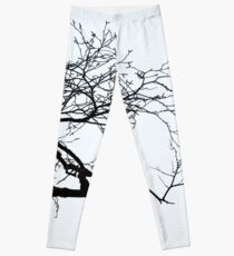Outreach Leggings
