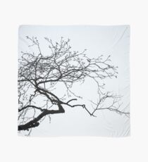 Outreach Scarf