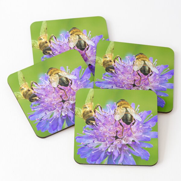 Item preview, Violet flower with two dung bees designed and sold by beatbieri.ch.