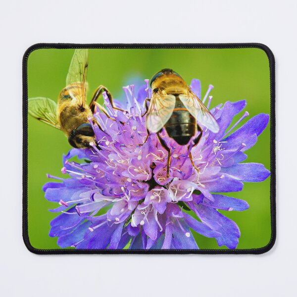 Item preview, Violet flower with two dung bees designed and sold by beatbieri.ch.