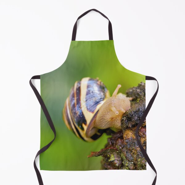 Item preview, Snail with house on a journey designed and sold by beatbieri.ch.
