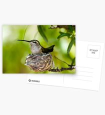 NESTING Postcards