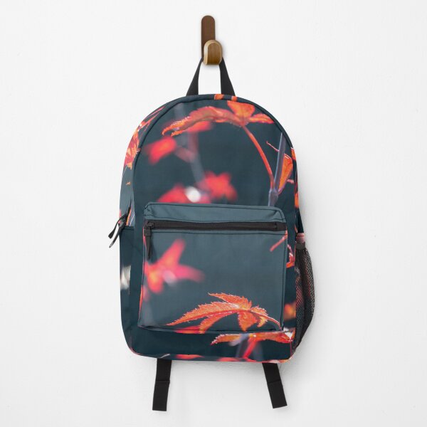 Item preview, Red maple at sunset with a black background - botanical nature and travel photography designed and sold by Christa Stroo Photography.