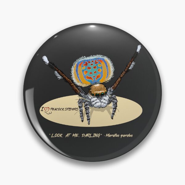 Item preview, Peacock Spider - Maratus pardus designed and sold by Anna R. Carrino.