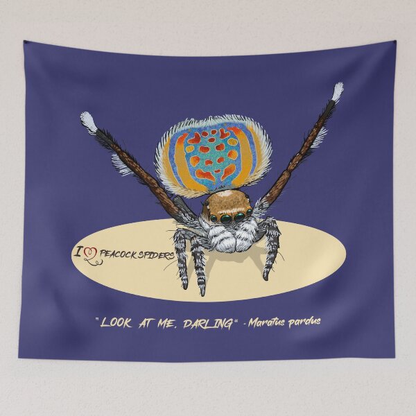 Item preview, Peacock Spider - Maratus pardus designed and sold by Anna R. Carrino.