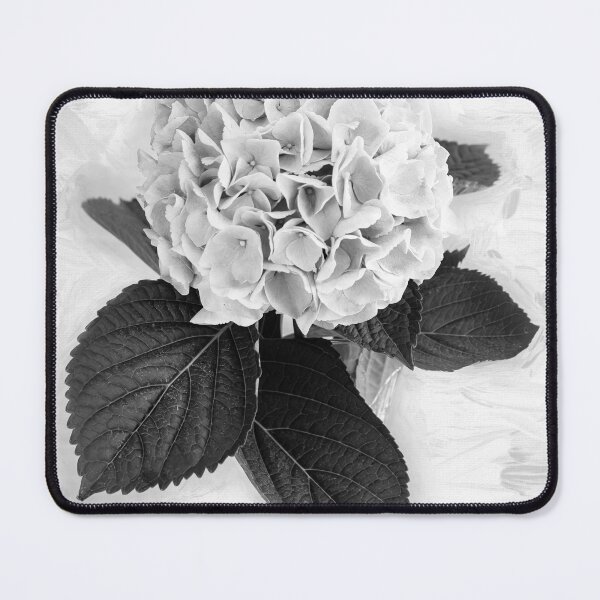 Item preview, Hydrangea Macrophylla Blue Hydrangea X146 designed and sold by RichFrancoCars.
