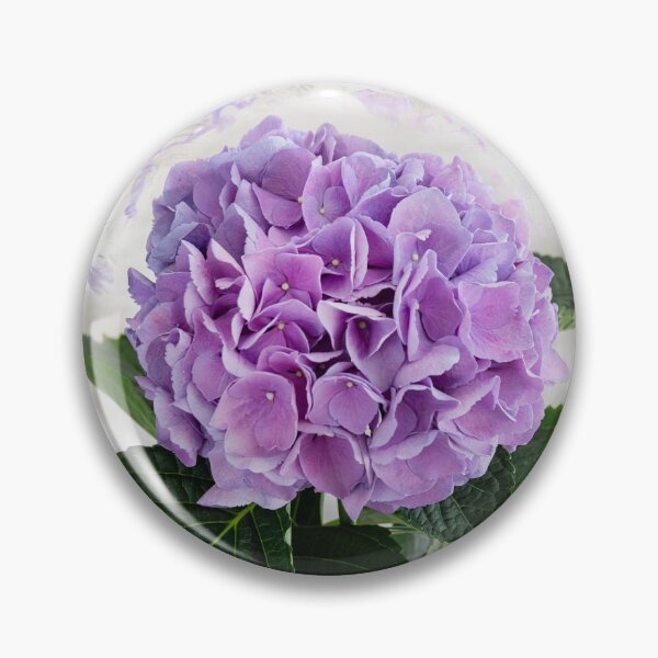 Item preview, Hydrangea Macrophylla Blue Hydrangea X147 designed and sold by RichFrancoCars.