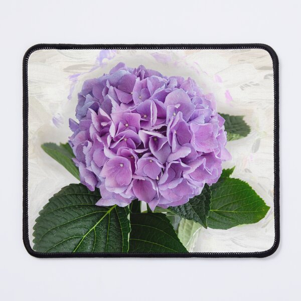 Item preview, Hydrangea Macrophylla Blue Hydrangea X147 designed and sold by RichFrancoCars.