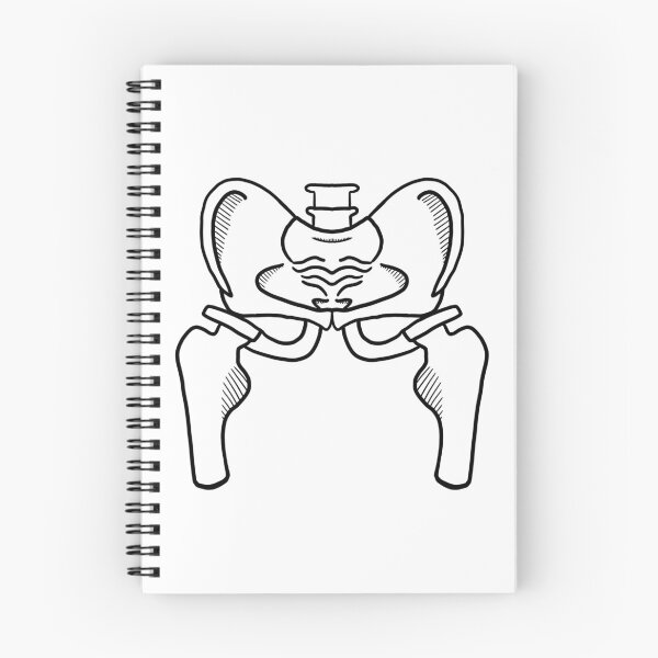 Item preview, Pelvis Lineart designed and sold by contricor.