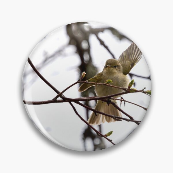 Item preview, Hey there. Chiffchaff designed and sold by Jouko Lehto Photography.