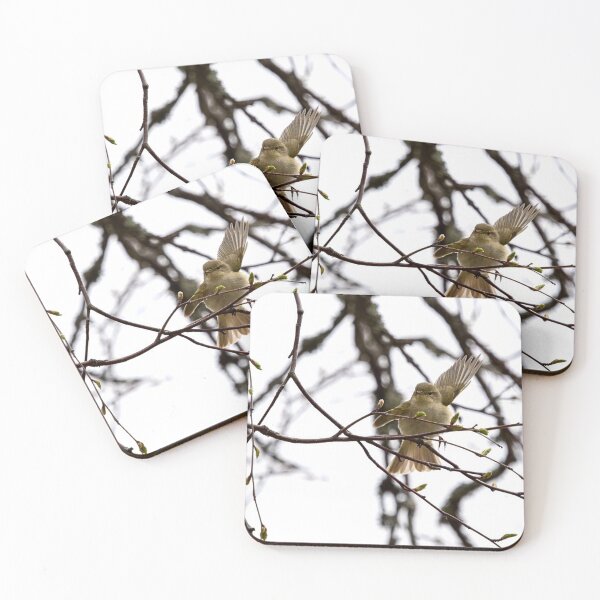 Item preview, Hey there. Chiffchaff designed and sold by Jouko Lehto Photography.