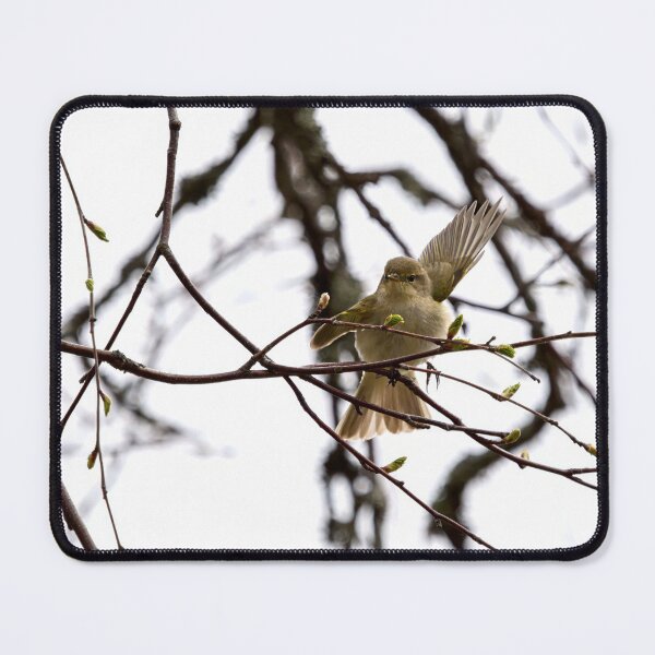 Item preview, Hey there. Chiffchaff designed and sold by Jouko Lehto Photography.