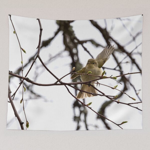 Item preview, Hey there. Chiffchaff designed and sold by Jouko Lehto Photography.