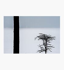 Snowing On The Lake Photographic Print