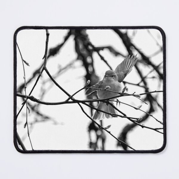 Item preview, Hey there. Chiffchaff bw designed and sold by Jouko Lehto Photography.