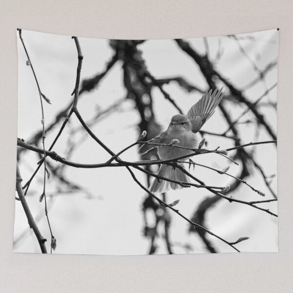 Item preview, Hey there. Chiffchaff bw designed and sold by Jouko Lehto Photography.