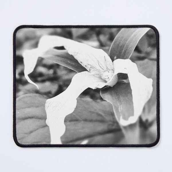 Item preview, fading trillium designed and sold by xplor-r.