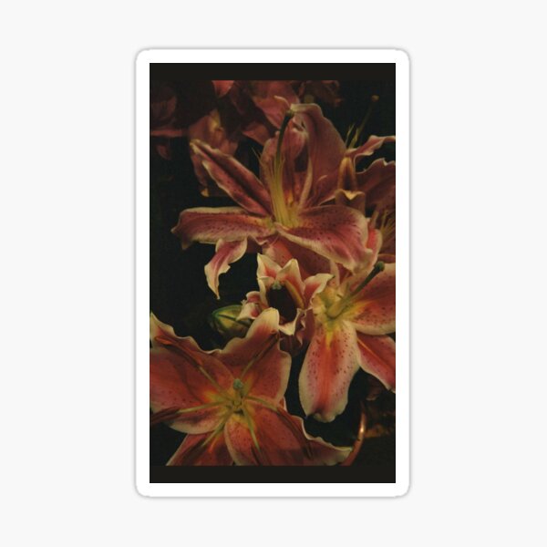 Item preview, Whispers of Lily designed and sold by Lucy D.
