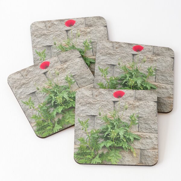 Item preview, Single Poppy- spite fuled growth designed and sold by 4RT-H4RD.