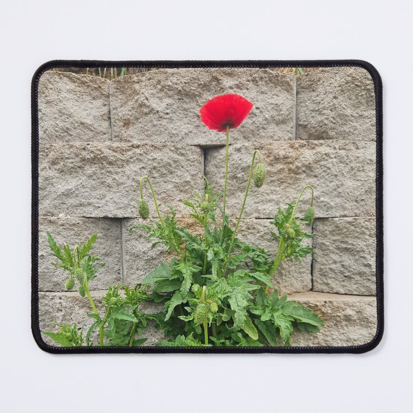Item preview, Single Poppy- spite fuled growth designed and sold by 4RT-H4RD.