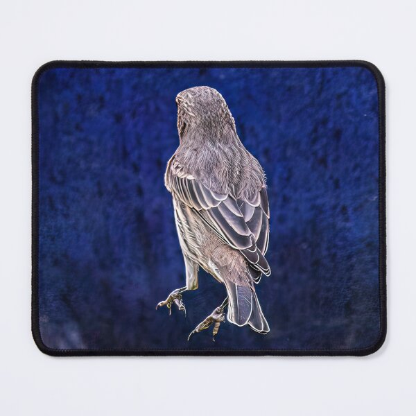 Item preview, Bird Back designed and sold by CarolM.