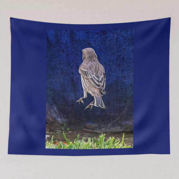 Item preview, Bird Back designed and sold by CarolM.
