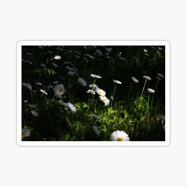 Item preview, Flowers With Sun Shining  designed and sold by ForgottenPrints.