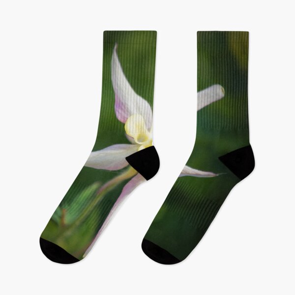 Item preview, Aquilegia designed and sold by JEZ22.