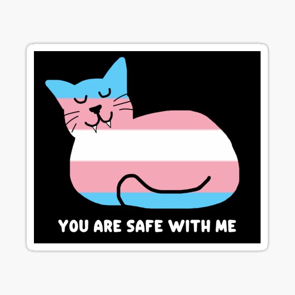 Aperçu de l'œuvre Tu es en sécurité avec moi • Cat Loaf Ally Cat • Trans Pride créée et vendue par MannyShop.