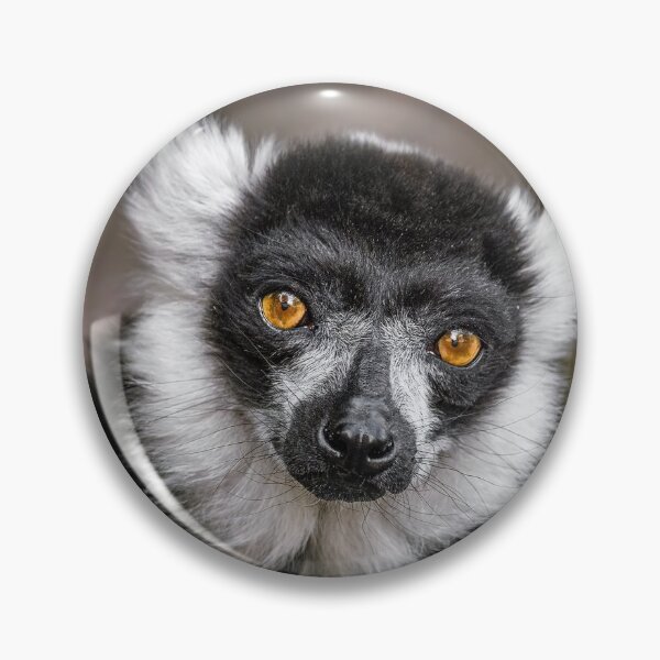 Artikelvorschau, Lemur entworfen und verkauft von MorningFive.