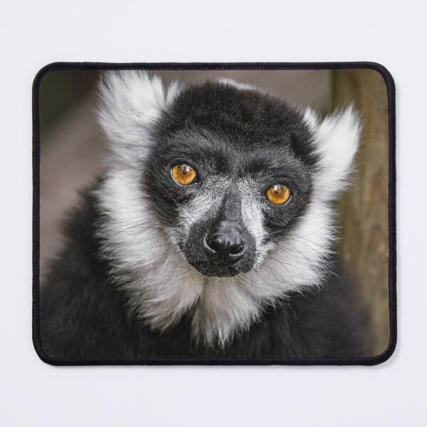 Item preview, Lemur designed and sold by MorningFive.