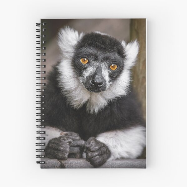 Artikelvorschau, Lemur entworfen und verkauft von MorningFive.