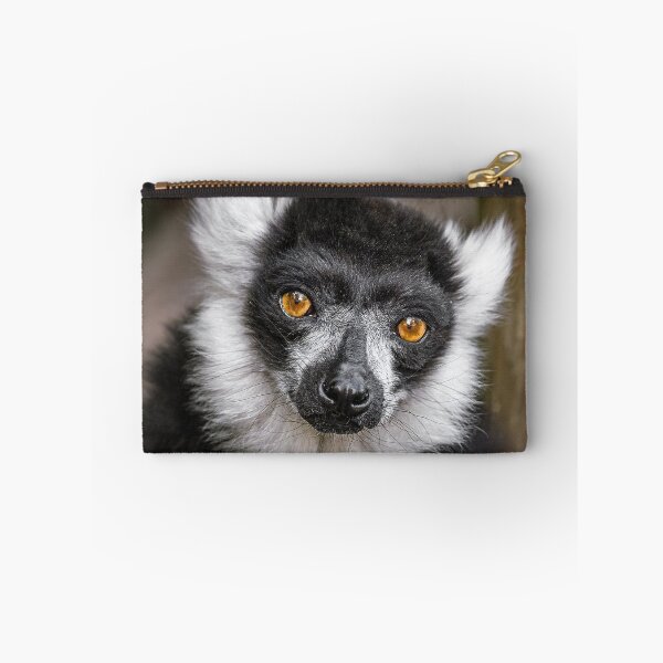 Artikelvorschau, Lemur entworfen und verkauft von MorningFive.