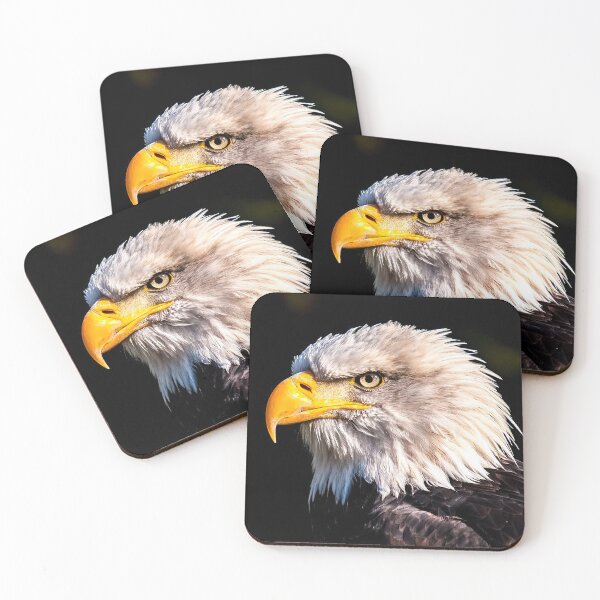 Item preview, American Eagle designed and sold by MorningFive.