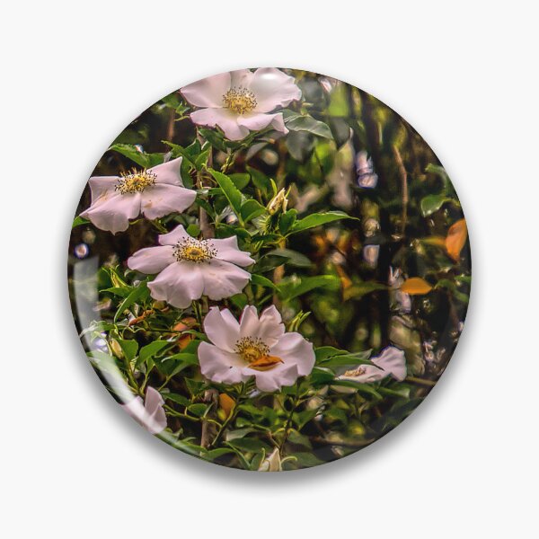 Item preview, Beautiful Cherokee Rose designed and sold by Crobin1961.