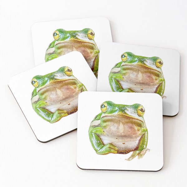 Aperçu de l'œuvre Froggy créée et vendue par RedFishyTee.
