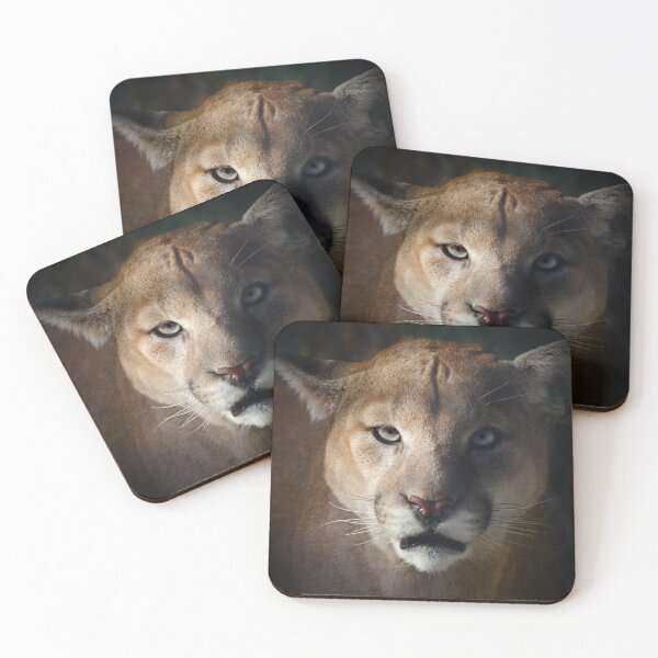 Item preview, Cougar designed and sold by Halobrianna.