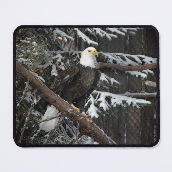 Item preview, American Bald Eagle designed and sold by Halobrianna.