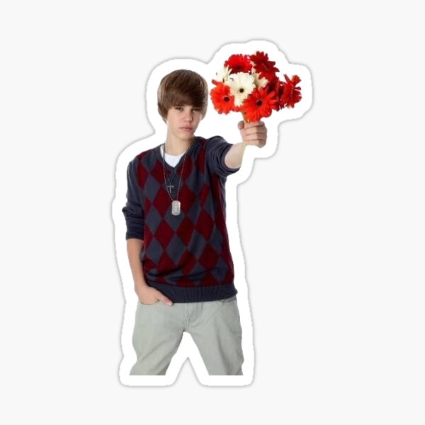 Item preview, Justin Bieber gives you flowers! designed and sold by 22fri.